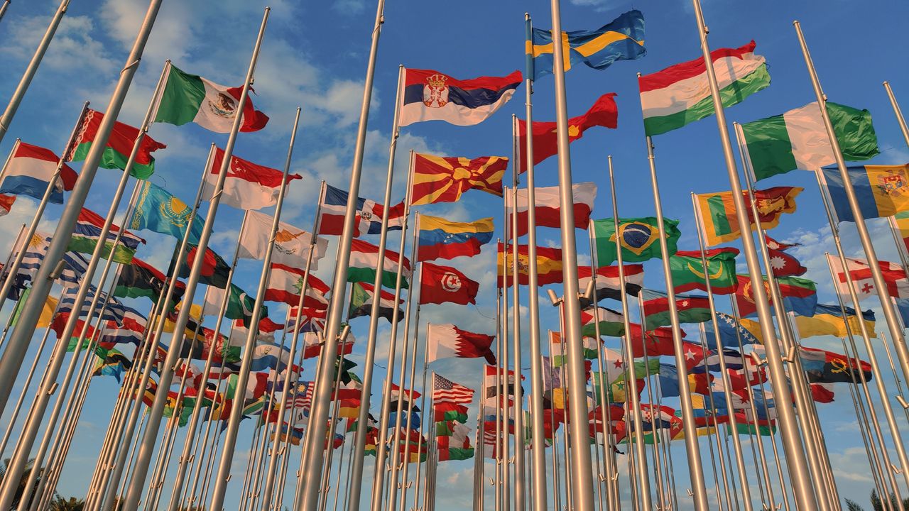 A diverse collection of national flags waving under a vibrant blue sky.